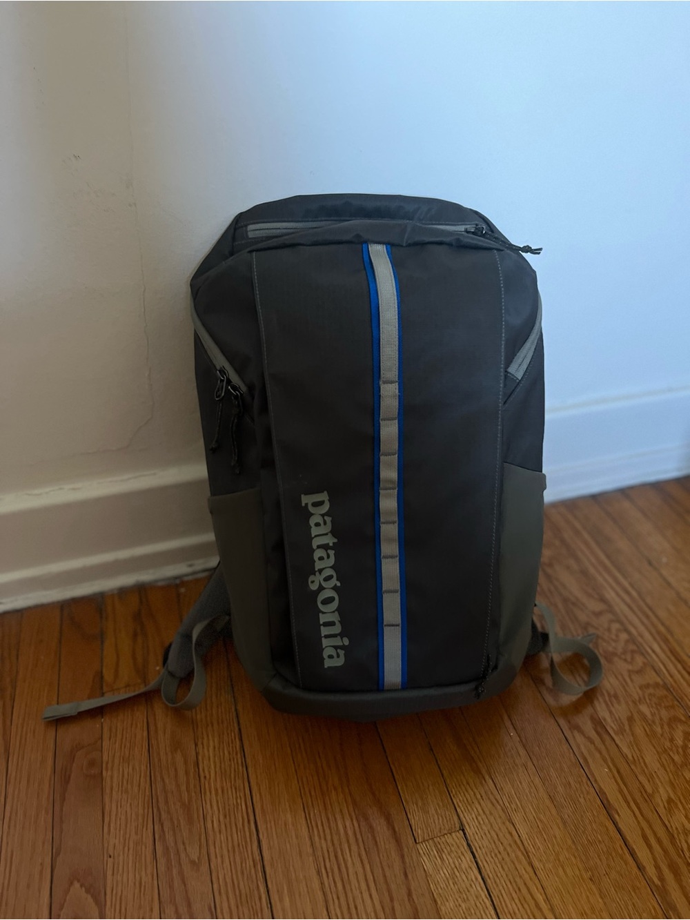 Patagonia Gray and Blue Vertical-Stripe Backpack